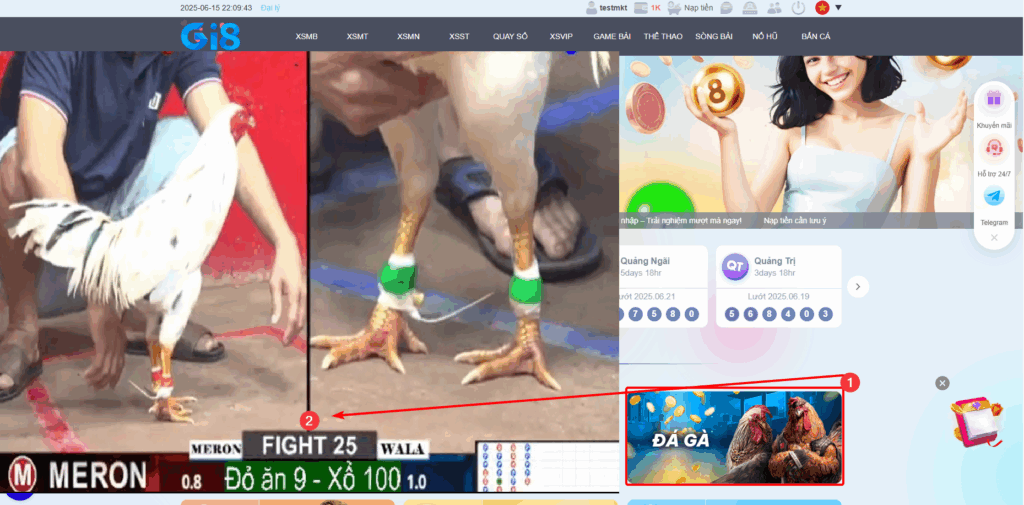 Sảnh đá gà Gi8 live stream
