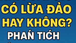 Nhà cái Gi8 có lừa đảo hay không